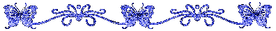 divisori